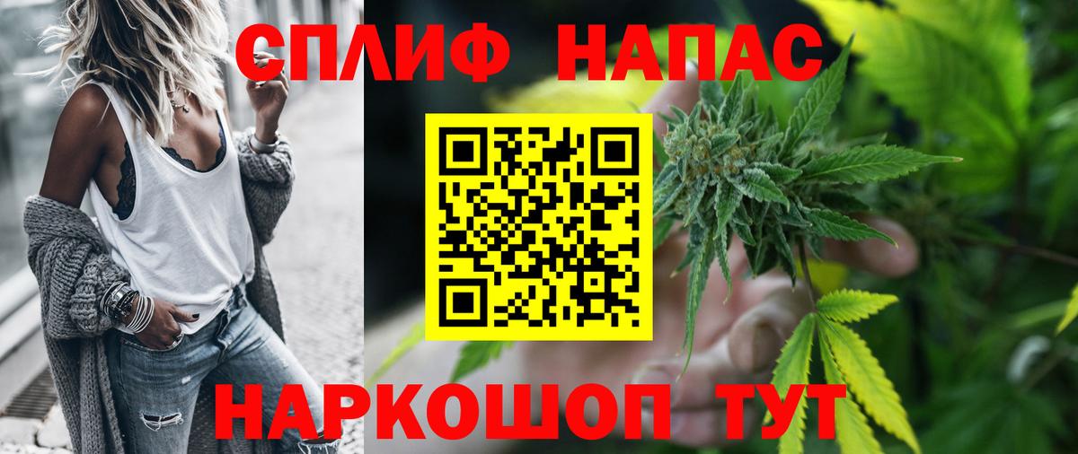 Бошки Шишки VHQ Дубна
